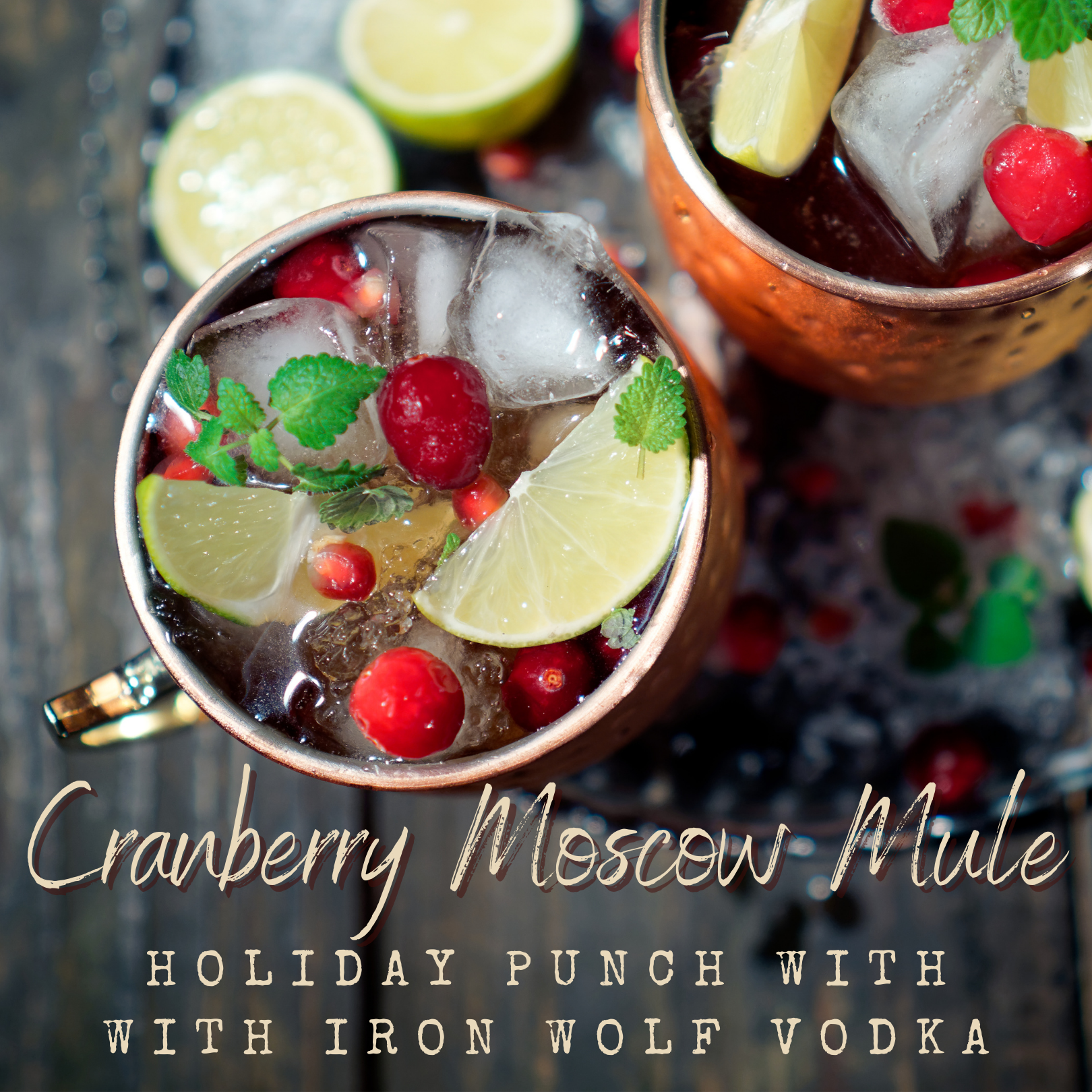 Cranberry Moscow Mule Punch - Vodka