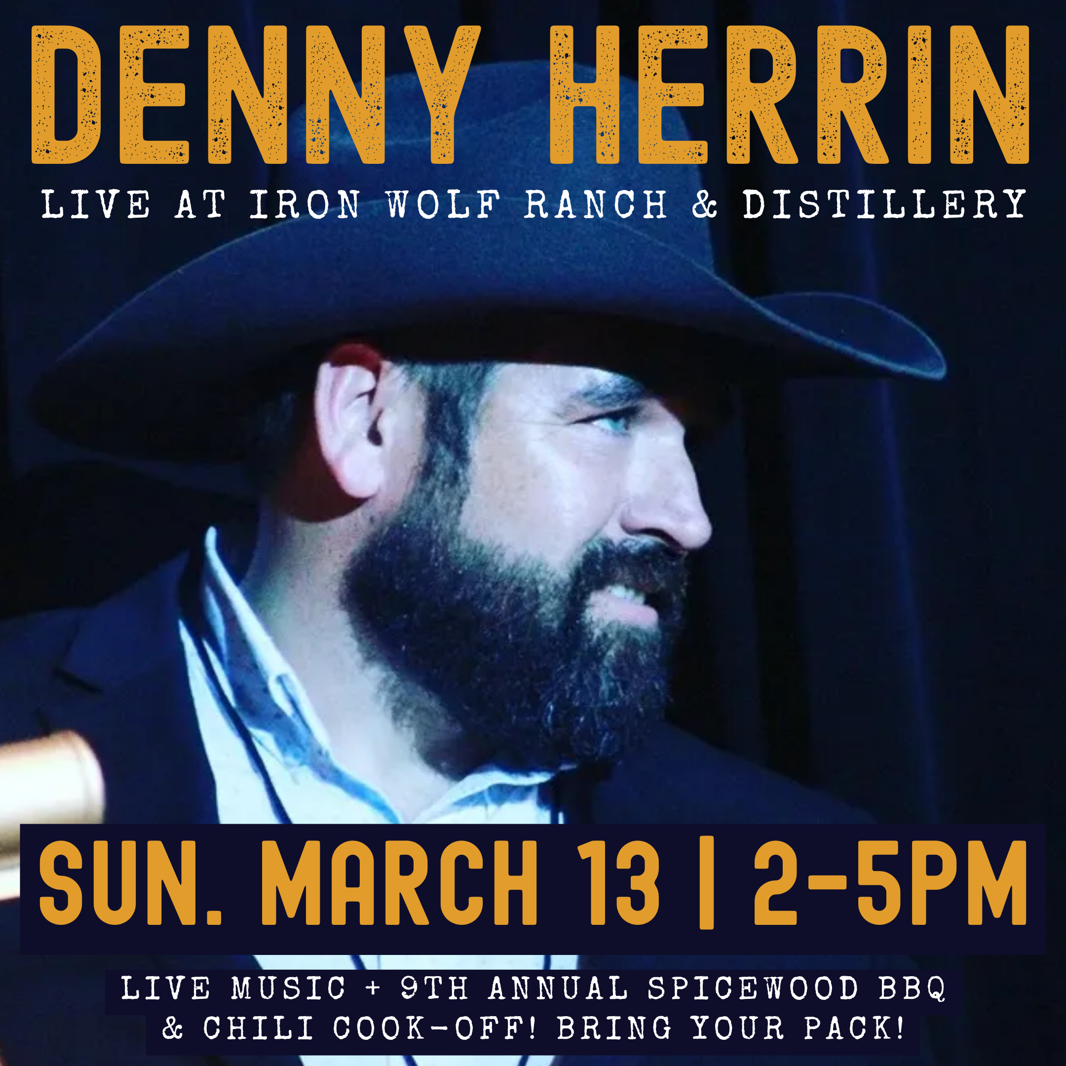 Denny Herrin live at Iron Wolf March 13