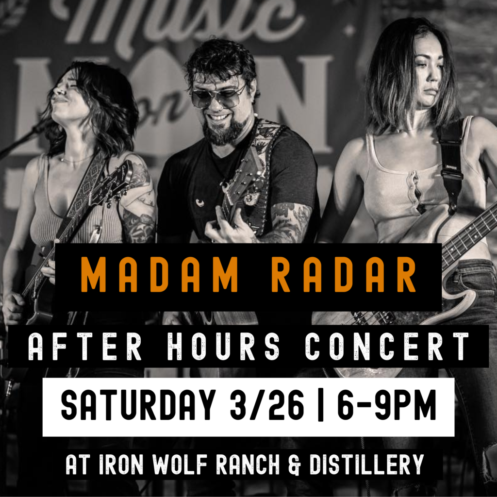 Madam Radar concert 3/26 at Iron Wolf