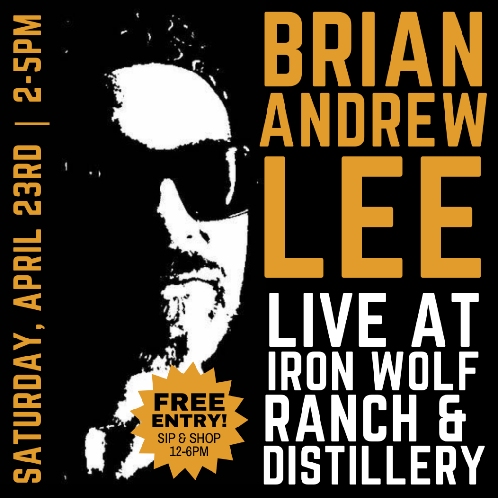 Brian Andrew Lee LIVE at Iron Wolf April 23