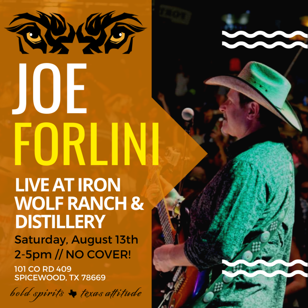Joe Forlini live at Iron Wolf august 13th 2-5pm