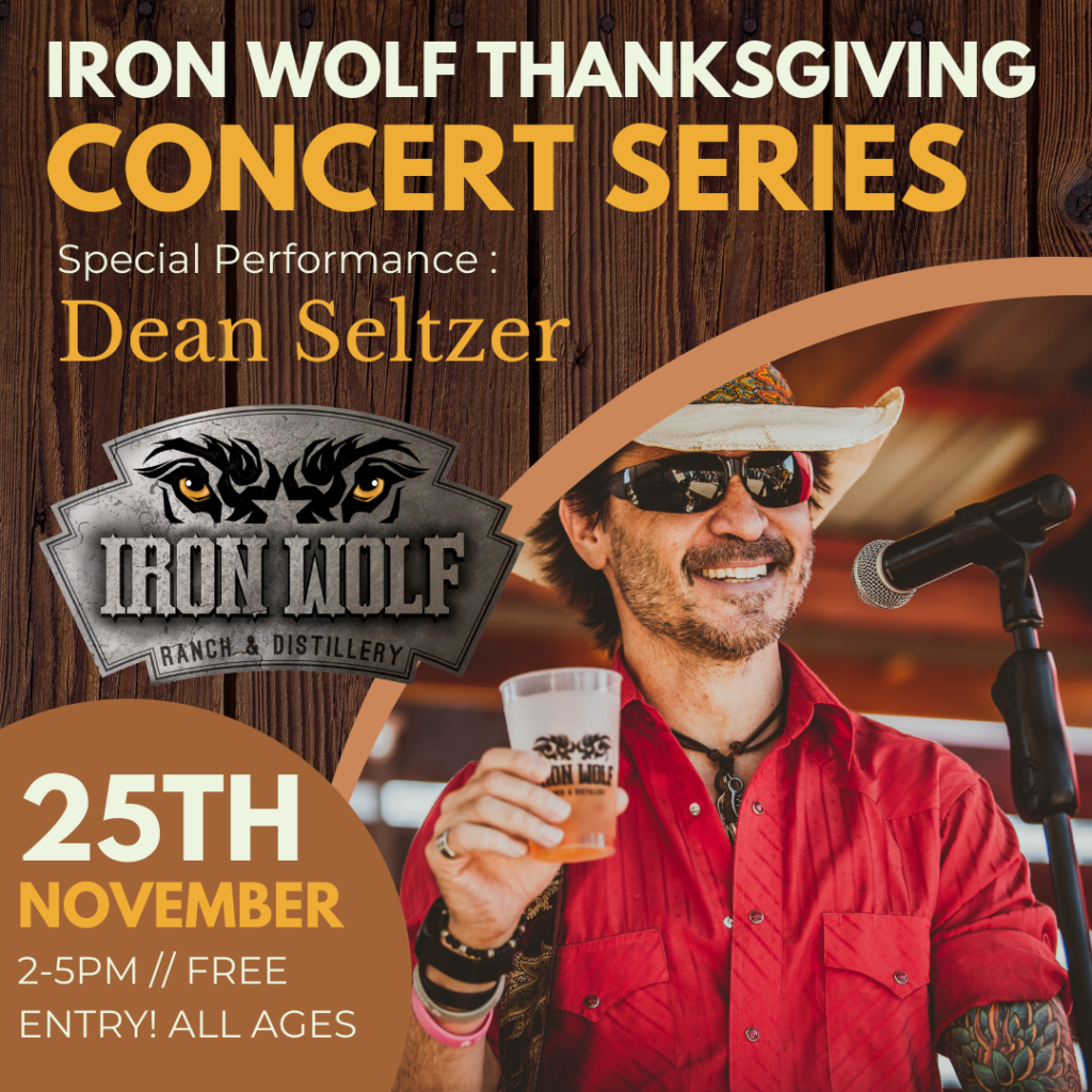Dean Seltzer live at Iron Wolf thanksgiving weekend - Friday, Nov. 25
