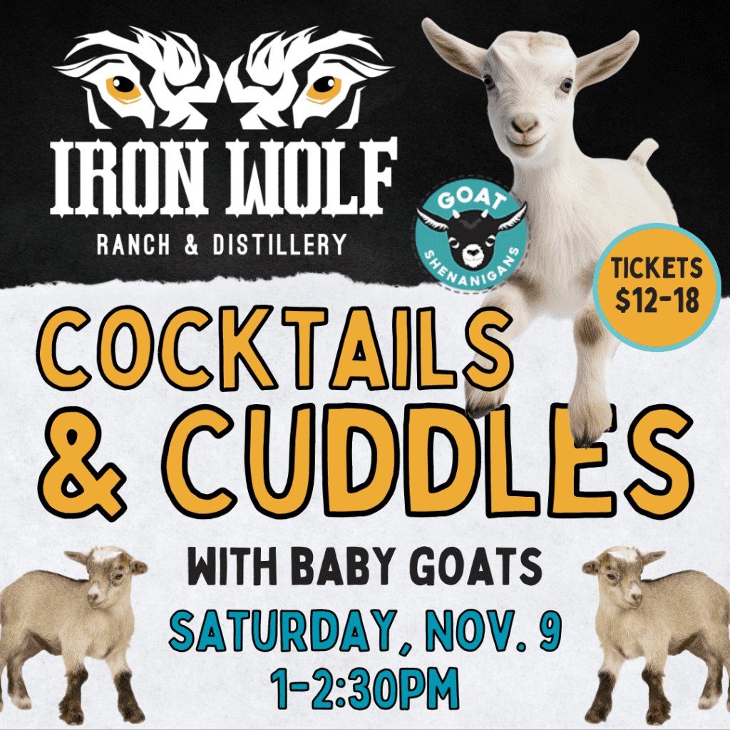 Nov. 9 - Cocktails & Cuddles